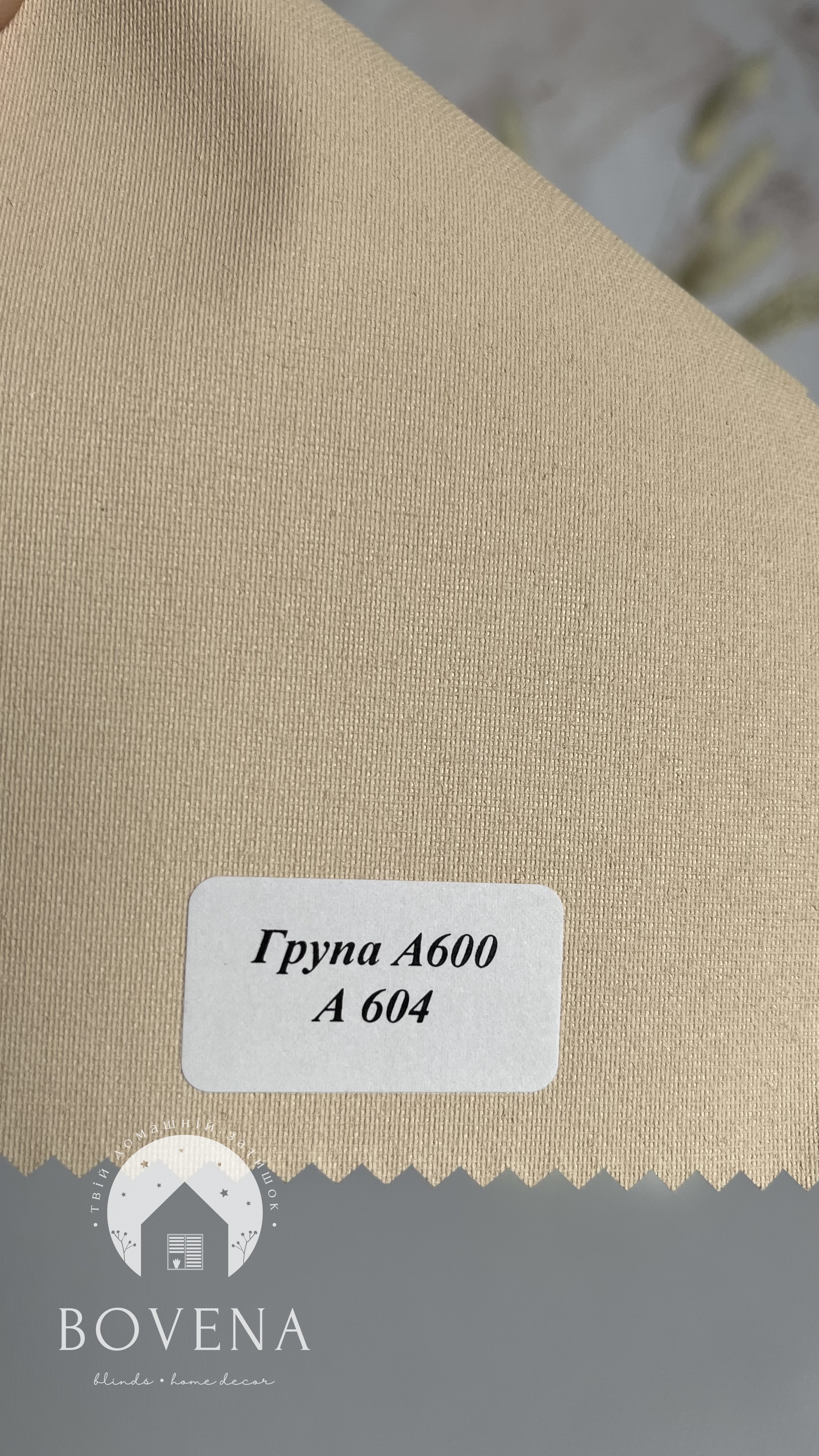 A6041