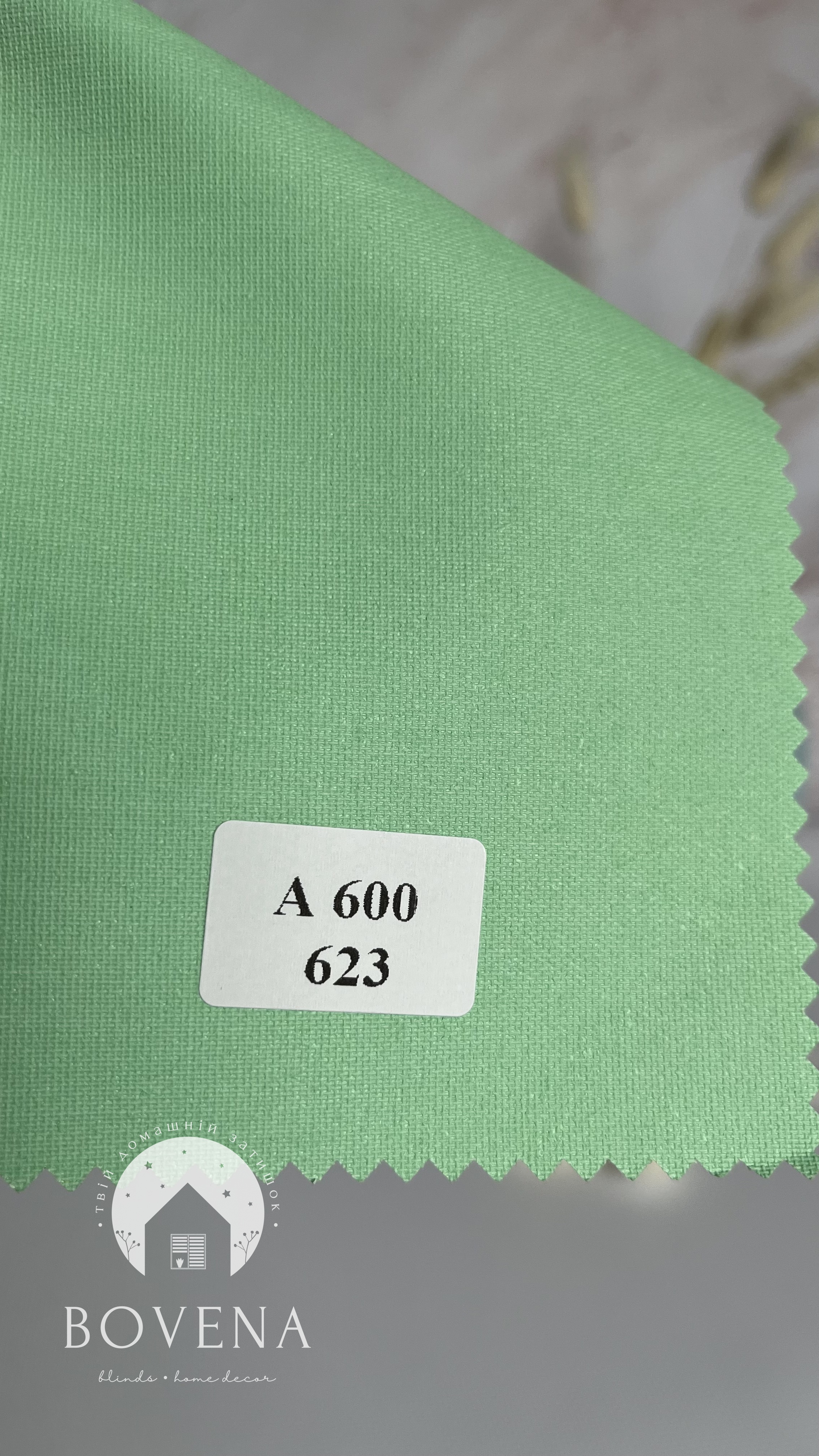 A6231