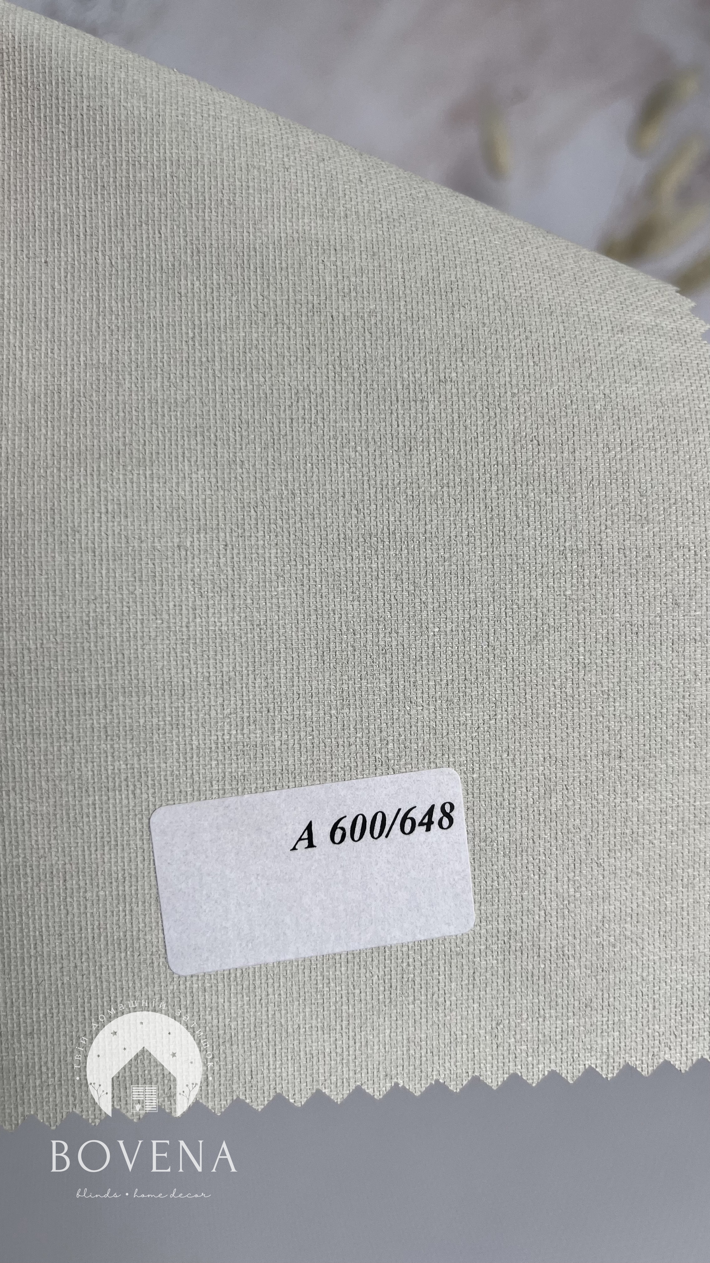 A6481