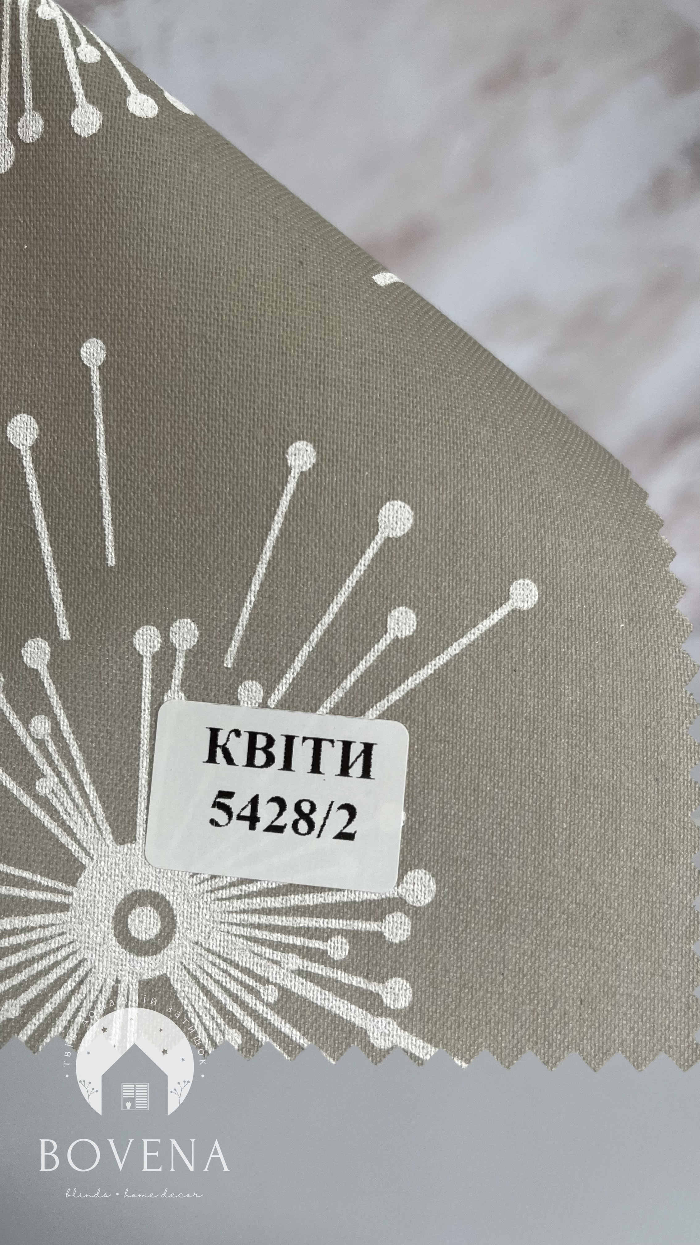 Kviti_5428_2