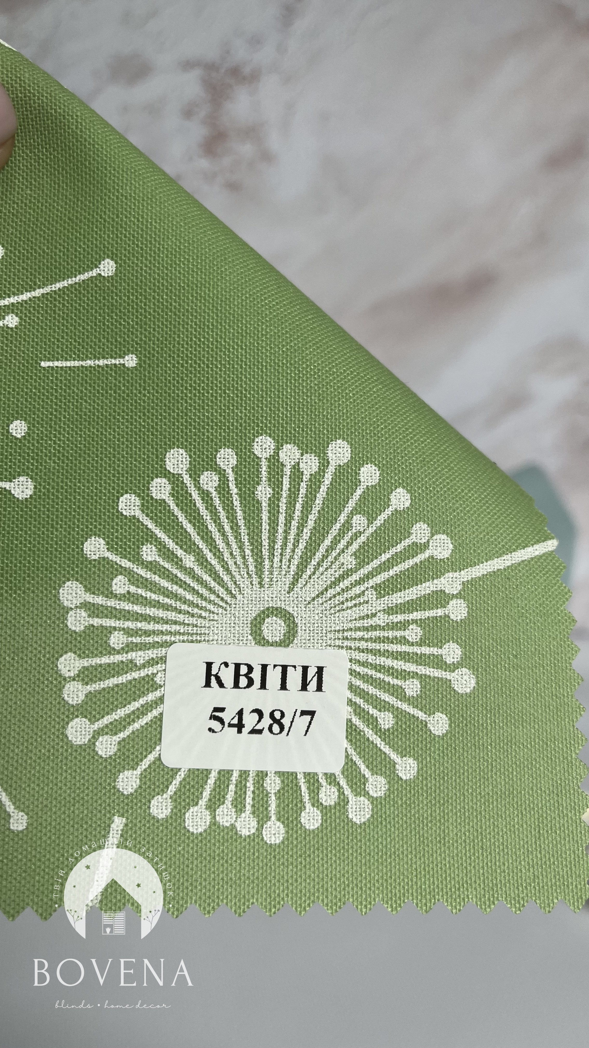 Kviti_5428_7